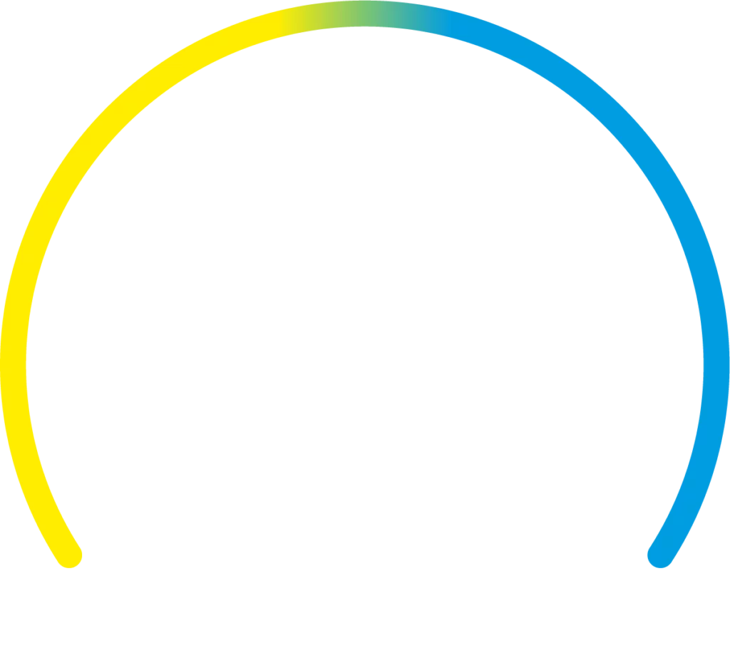 data en it Disciplines